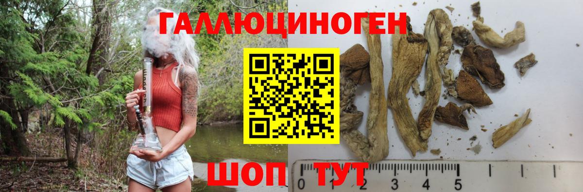 Владимир  Галлюциногенные грибы GOLDEN TEACHER  Вход с VPN 
